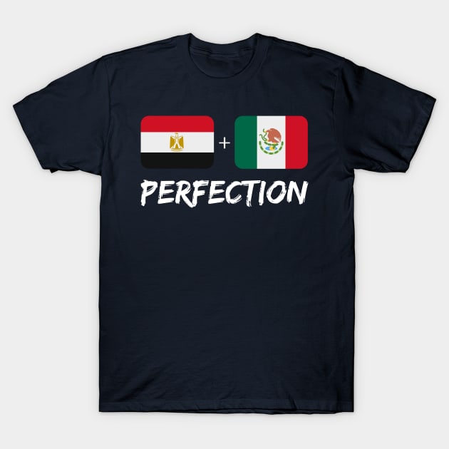 Egyptian Plus Mexican Perfection Mix Heritage Flag Gift T-Shirt by Just Rep It!!